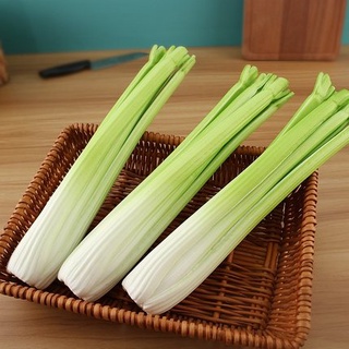 โมเดลเซเลอรี่ เซเลอรี่ปลอม ขึ้นฉ่ายฝรั่งปลอม Celery ผักปลอม เซเรอลี่ เซรารี่ เซลารี่ Celery ขึ้นฉ่ายฝรั่ง