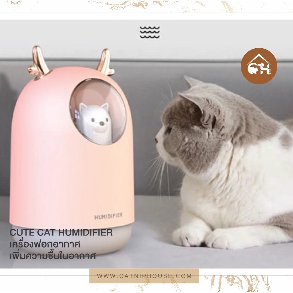 ถูกสุด-พร้อมส่ง-cute-cat-humidifier-เครื่องฟอกอากาศ-เพิ่มความชื้นในอากาศ