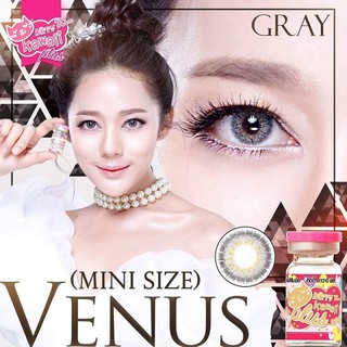 (2) Mini Venus Gray มินิ สีเทา เทา ขอบฟุ้ง ละมุน Kitty Kawaii ค่าอมน้ำสูง คอนแทคเลนส์ ค่าสายตา สายตาสั้น แฟชั่น -9.00