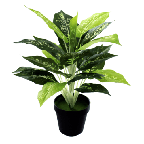 bighot-tree-o-ต้นสาวน้อยประแป้งประดิษฐ์-สูง-40cm-al17t094