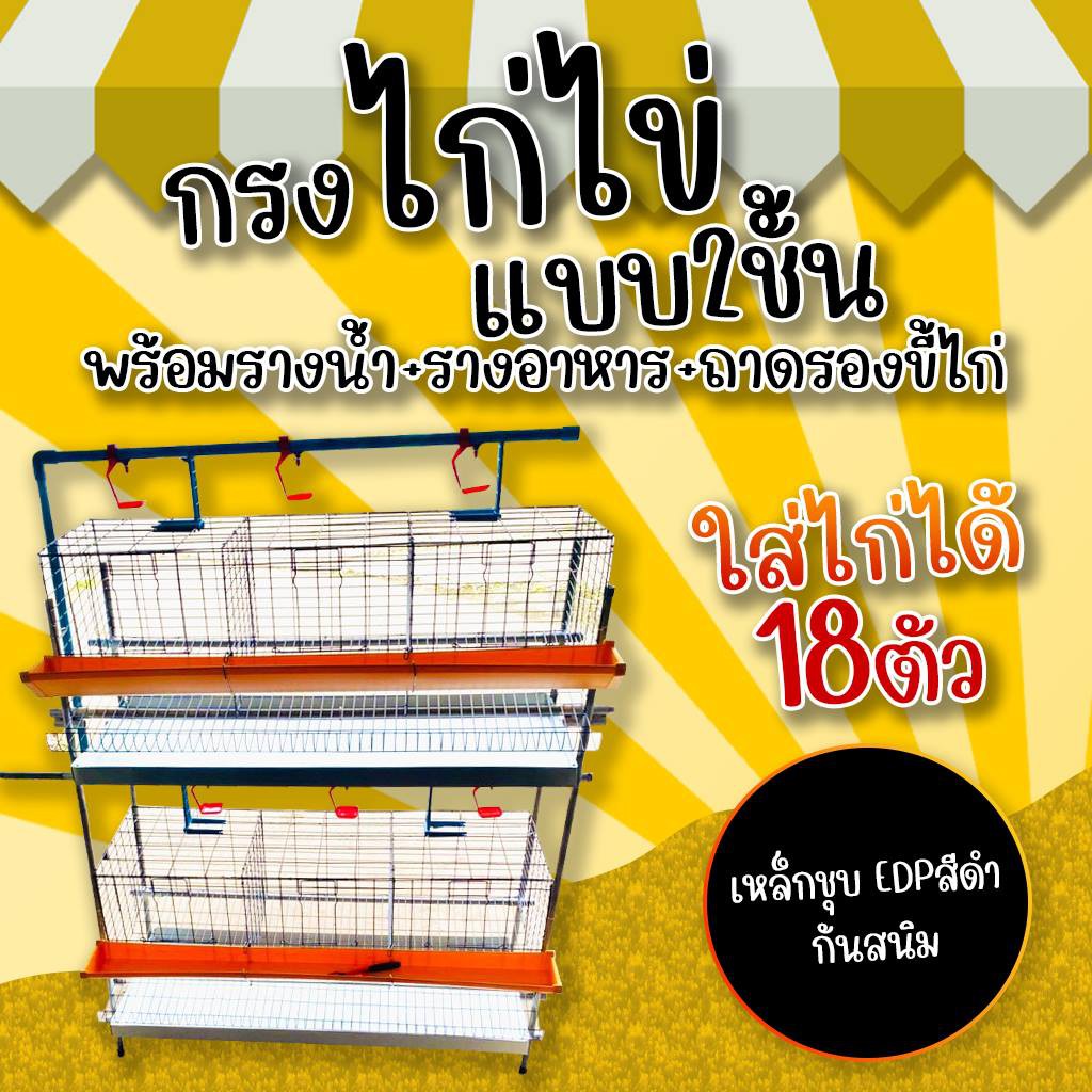 กรงไก่ไข่พร้อมขากรงแบบ2ชั้น-พร้อมถาดรองขี้ไก่-ใส่ไก่ได้18ตัว-เหล็กชุบedpกันสนิมสีดำ-กรงตับไก่ไข่-2ชั้น