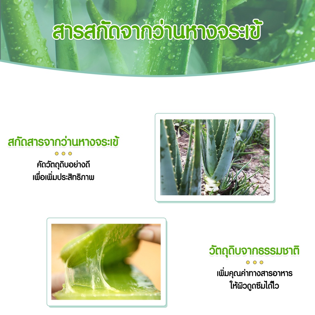 มี-เลขที่จดแจ้ง-ผลิตภัณฑ์บำรุงผิว-ผลิตภัณฑ์บำรุงผิวหน้า-aloe-moisturizing-cream-ให้ความชุ่มชื้น-อโล-มอยเจอร์ไรซิ่ง