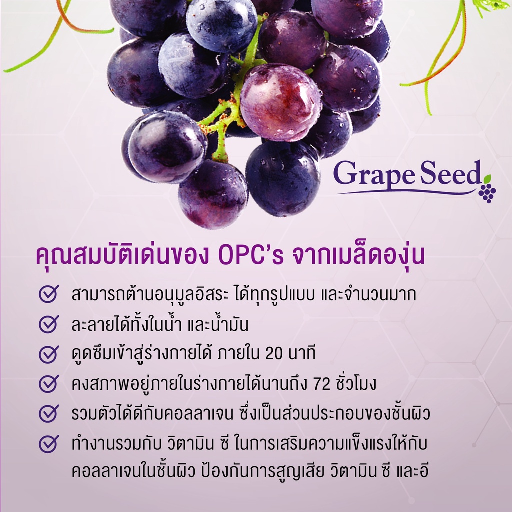 สารสกัดจากเมล็ดองุ่น-เกรพซีด-opcs95-60-แคปซูล-exp-5-2024-ลดฝ้า-กระ-เส้นเลือดขอด-grape-seed-extract-centuria-brand