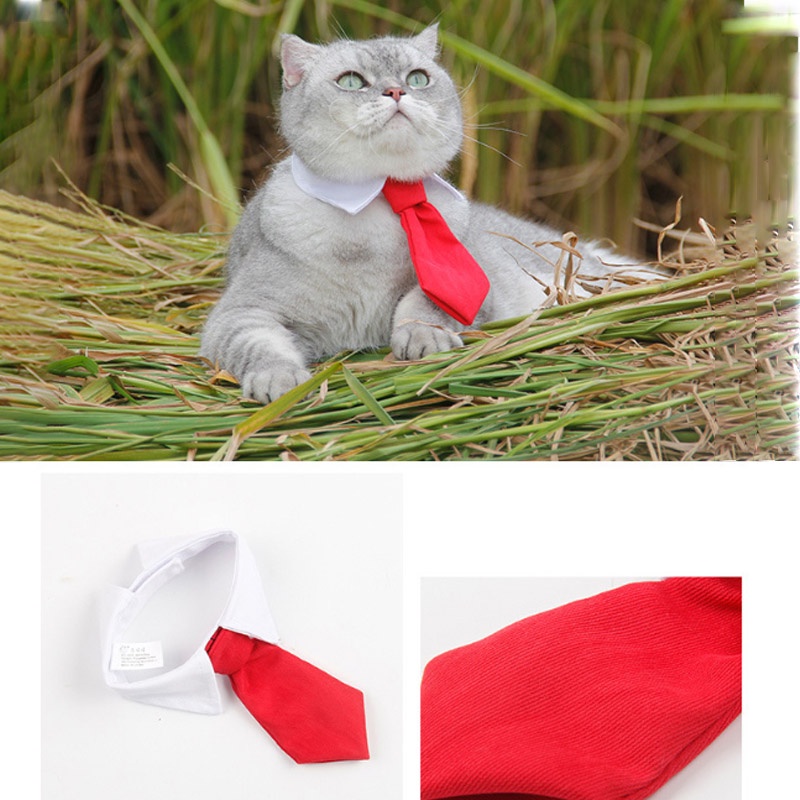 cod-pet-tie-เนคไทสัตว์เลี้ยง-ปลอกคอแมว-เนคไท-ปรับสายได้-ดีไซน์เรียบหรู-เครื่องประดับสัตว์เลี้ยง-ปลอกคอสัตว์เลี้ยง