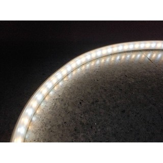 LED Strip ไฟเส้น LED DC 24V. 2 in 1 (5-10 เมตร)