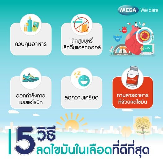 mega-we-care-cosanol-5mg-30-แคปซูล-สารสกัดโพลีโคซานอล-ช่วยลดโคเลสเตอรอล