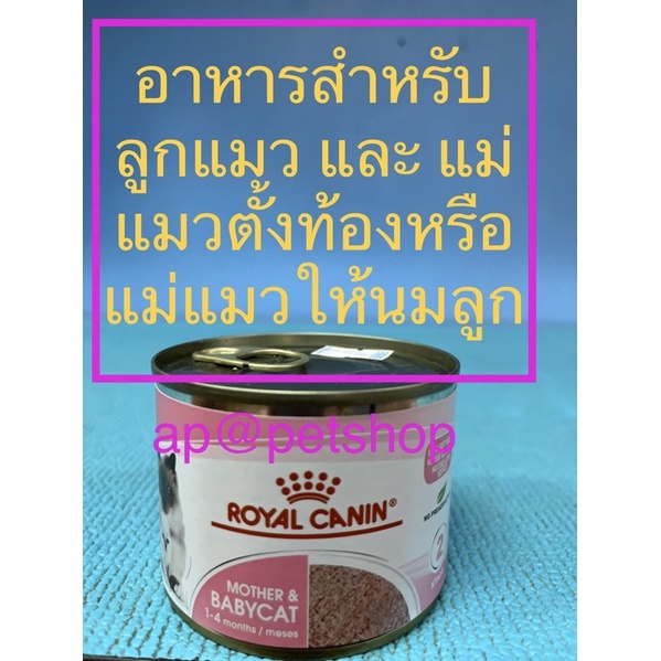 royal-canin-babycat-can-195g-12กระป๋อง-ยกแพ็ค-exp-6-2024-สำหรับลูกแมวหรือแมวตั้งท้อง