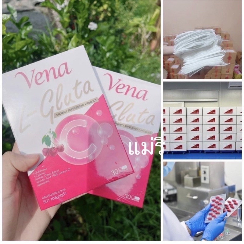 กลูต้ายาขาววีน่า-vena-l-gluta-ของแท้100-รับตรงเจ้าของแบรนด์น้องเจมส์