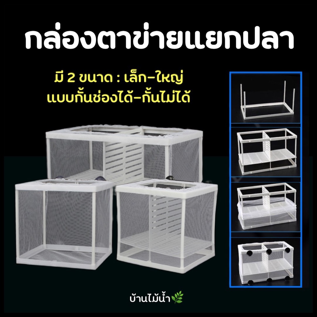 กล่องตาข่ายแยกปลา-กล่องแยกปลา-แยกลูกปลากับแม่ปลาที่เพิ่งคลอด-ลูกกุ้ง-ปลาป่วย-บ้านไม้น้ำ