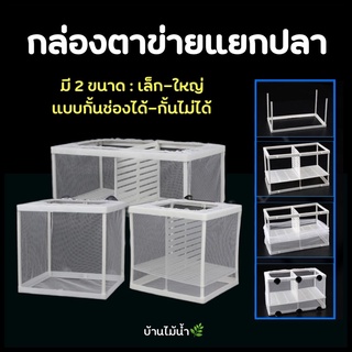 กล่องตาข่ายแยกปลา กล่องแยกปลา แยกลูกปลากับแม่ปลาที่เพิ่งคลอด ลูกกุ้ง ปลาป่วย | บ้านไม้น้ำ🌿