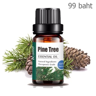 Aliztar 100% Pure Pine Tree Essential Oil ขนาด 10 มิล. น้ำมันหอมระเหยสนแท้ สำหรับอโรมาเทอราพี เตาอโรมา เครื่องพ่นไอน้...