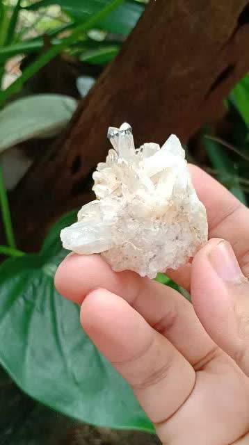 ควอตซ์-quartz-009-cluster-คนไทย-เรียกว่า-เขี้ยวหนุมาน