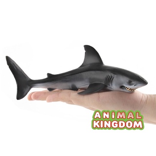 Animal Kingdom - โมเดลสัตว์ ฉลามขาว ขนาด 19.00 CM (จากสงขลา)