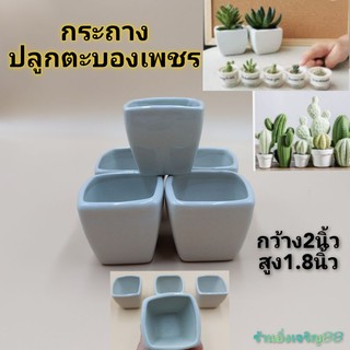 (2ใบ)กระถางเซรามิค กระถางตะบองเพชร ทรงสีเหลี่ยมขนาดเล็ก