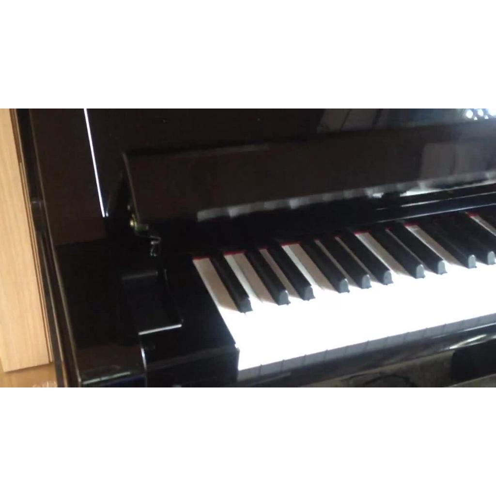 finguard-อุปกรณ์เพื่อป้องกันฝาปิดเปียโนกระแทกมือ-piano-accessories