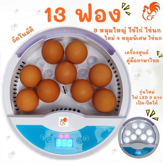 ส่งฟรีด่วน 13 ฟอง เครื่องศูนย์ คู่มือภาษาไทย ตู้ฝักไข่ไก่ เครื่องฟักไข่อัตโนมัติ ตู้ฟักไข่ไก่ ตู้ฟักไข่ถูกๆ