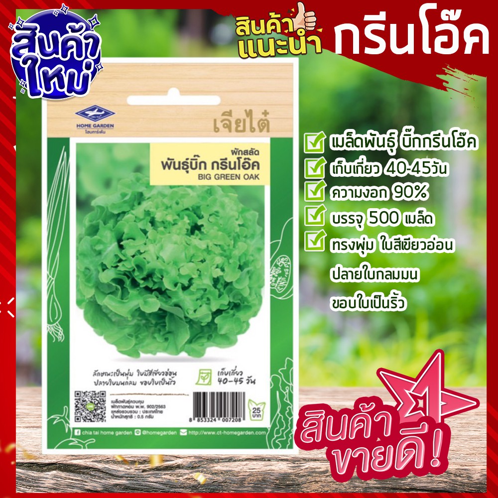 เจียไต๋-เมล็ดพันธุ์-กรีนโอ๊ค-500-เมล็ด-green-oak-ผักสลัด-เมล็ดสลัดกรีนโอ๊ค