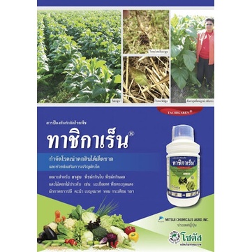 ทาชิกาเร็น-500-ซีซี-ไฮเมซาโซล-36-w-v-sl-กำจัดโรคเน่าคอดิน-ได้เด็ดขาด