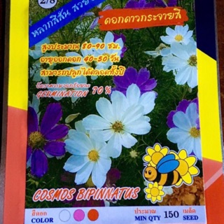 ภาพหน้าปกสินค้าดาวกระจายสี ประมาณ 150เมล็ด ที่เกี่ยวข้อง