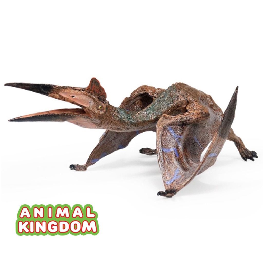 animal-kingdom-โมเดลไดโนเสาร์-hatzegopteryx-ขนาด-19-00-cm-จากหาดใหญ่