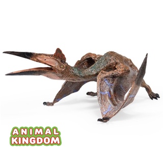 Animal Kingdom - โมเดลไดโนเสาร์ Hatzegopteryx ขนาด 19.00 CM (จากหาดใหญ่)