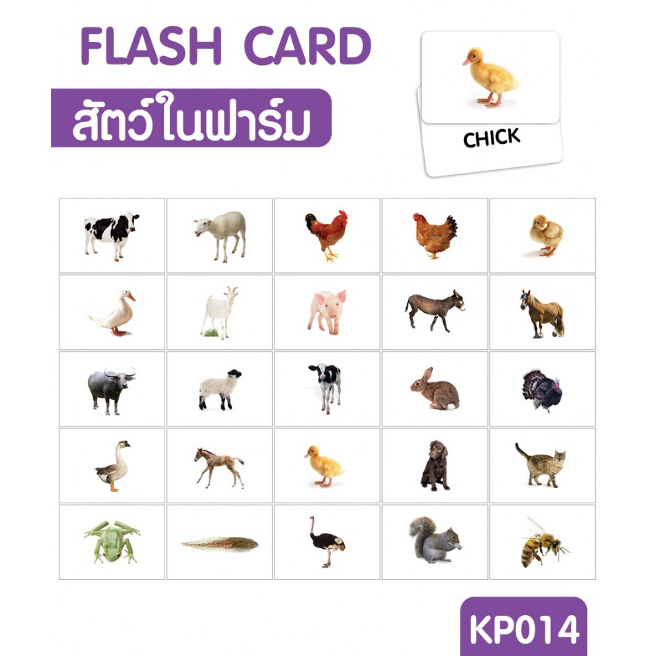 แฟลชการ์ดสัตว์ในฟาร์ม-แผ่นใหญ่-flash-card-farm-animals-kp014