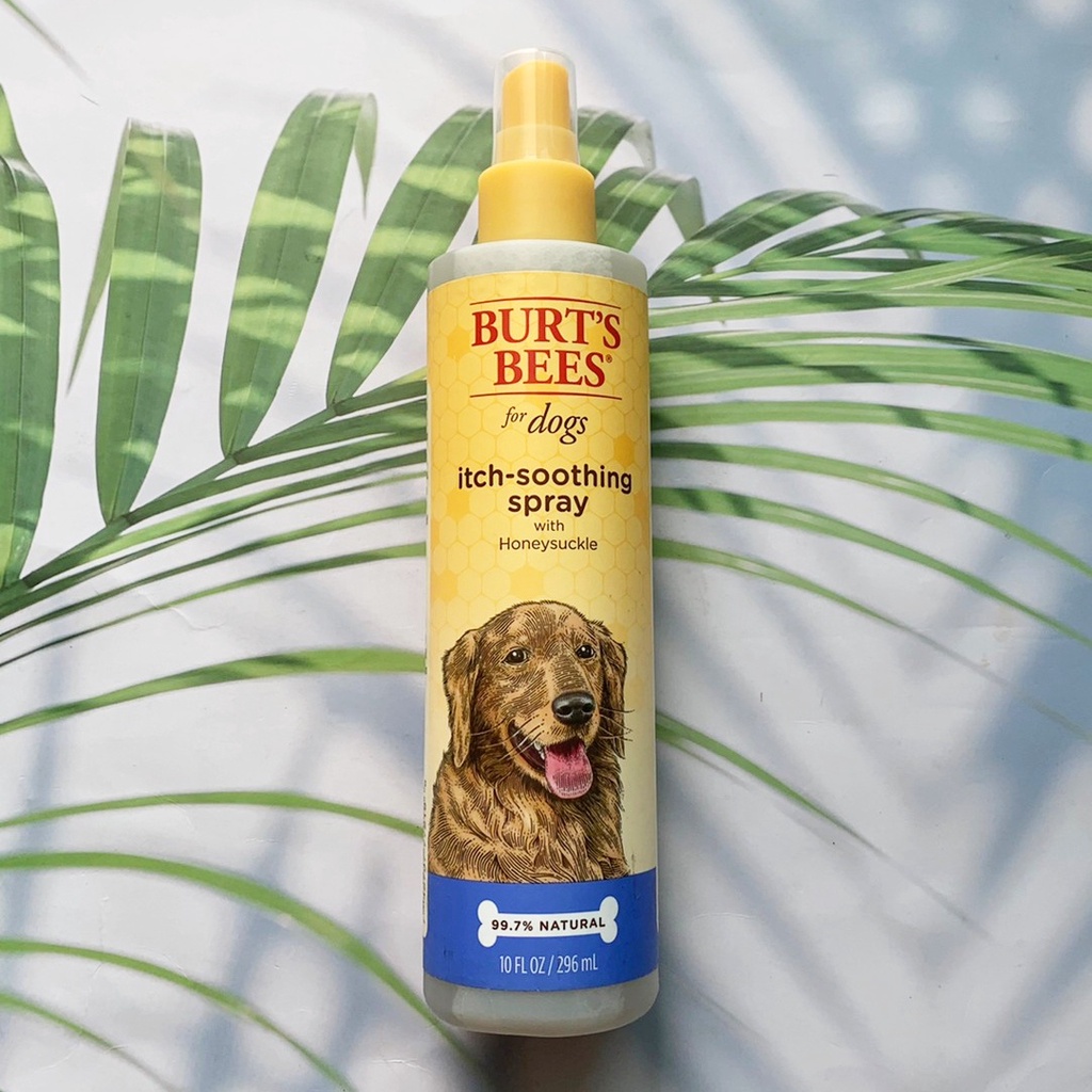 เบิร์ตบีส์ สเปรย์ สำหรับสุนัข ผิวแห้ง คัน ItchSoothing Spray for Dogs