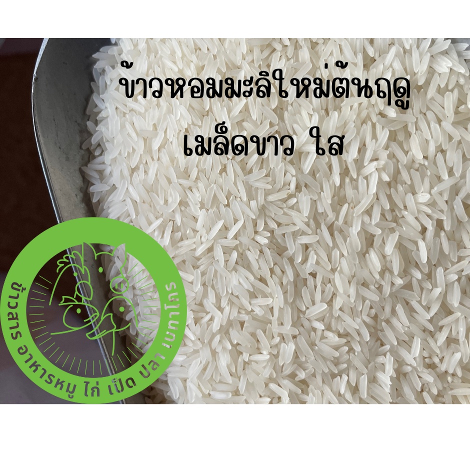 ข้าวหอมมะลิแท้-100-ตราส้มโอ-ข้าวใหม่-ข้าวเก่า-ขนาด-15-กิโลกรัม