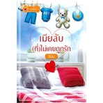 หนังสือ-เมียลับ-ที่-ไม่เคยถูกรัก