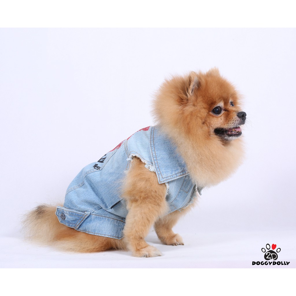 petcloths-doggydolly-เสื้อผ้าแฟชั่น-สัตว์เลี้ยง-หมาแมว-ยีนส์-jacket-แฟชั่นหมา-ขนาดไซส์-1-9-โล-dj034