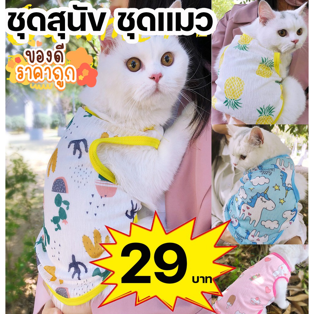 ภาพหน้าปกสินค้าเสื้อสุนัข ชุดสุนัข เสื้อแมว ชุดแมว เนื้อผ้าระบายความร้อนได้ดี ใส่สบาย พร้อมส่งจากไทย จากร้าน t.m.c_shop บน Shopee