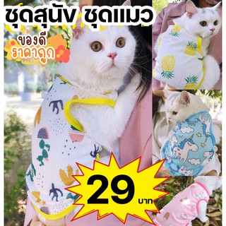 ภาพขนาดย่อของภาพหน้าปกสินค้าเสื้อสุนัข ชุดสุนัข เสื้อแมว ชุดแมว เนื้อผ้าระบายความร้อนได้ดี ใส่สบาย พร้อมส่งจากไทย จากร้าน t.m.c_shop บน Shopee