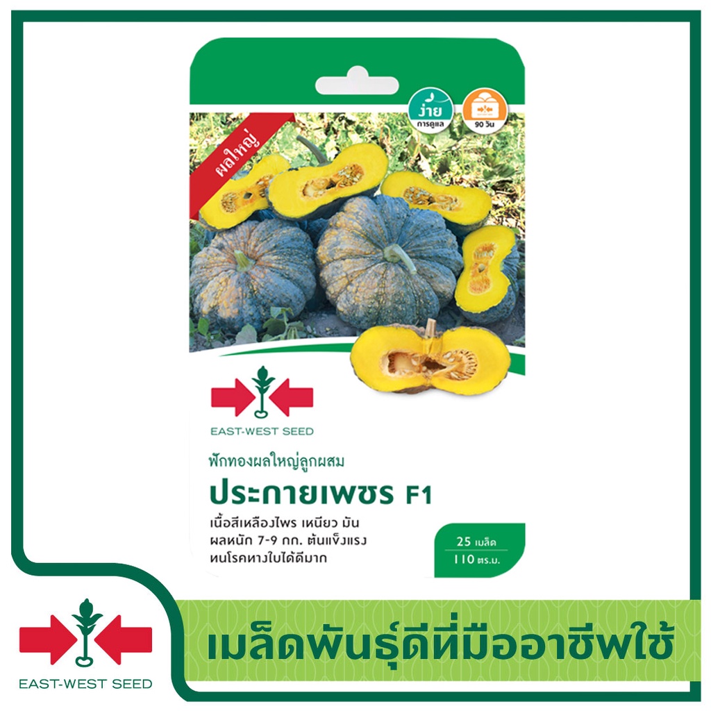 east-west-seed-เมล็ดพันธุ์ฟักทอง-pumpkin-seeds-ฟักทองลูกผสม-ประกายเพชล็ดพันธุ์ผัก-นี่มันเมล็ดพืช-ไม่ใช่พืช