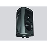 definitive-technology-aw5500-loudspeaker