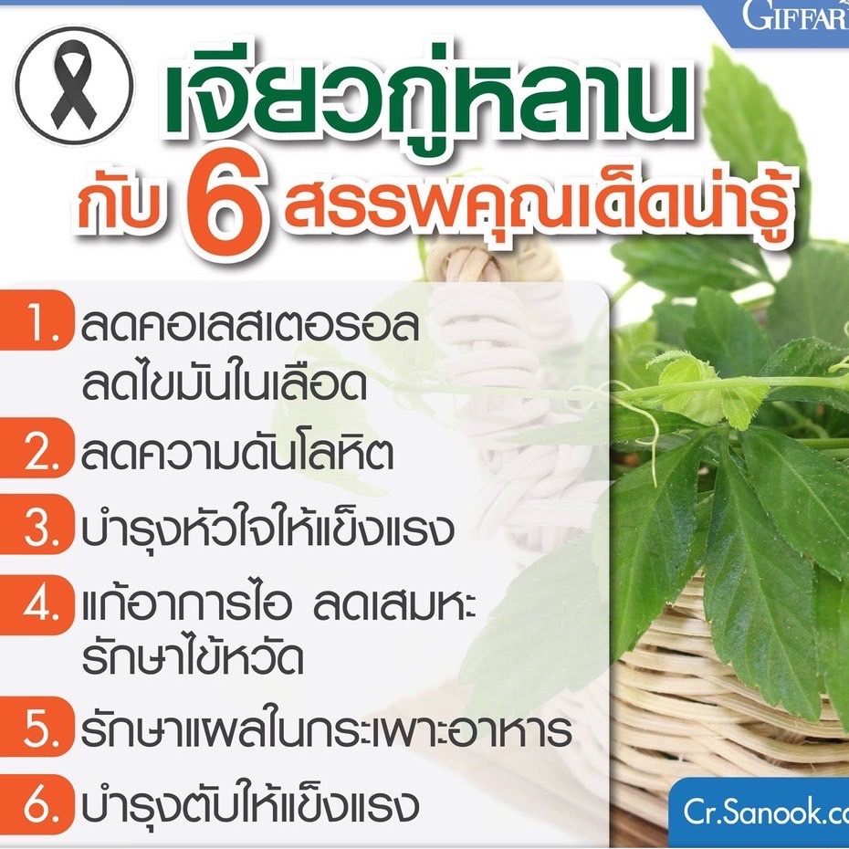 ส่งฟรี-เจียวกู่หลาน-กิฟฟารีน-jiaogulan-giffarine-ลดไขมัน-ลดความดันโลหิต-หัวใจ