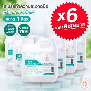 ซื้อ x6 ราคาคุ้มมาก!! แอลกอฮอล์ สเปรย์ 75% ขนาด 1000 ml / กลิ่น เปปเปอร์ มินต์ / Food Grade