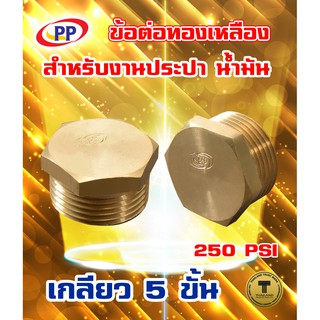 ข้อต่อทองเหลือง ปลั๊กอุด เกลียวนอก (ประปา น้ำมัน)PP(พีพี) ขนาด 1/2