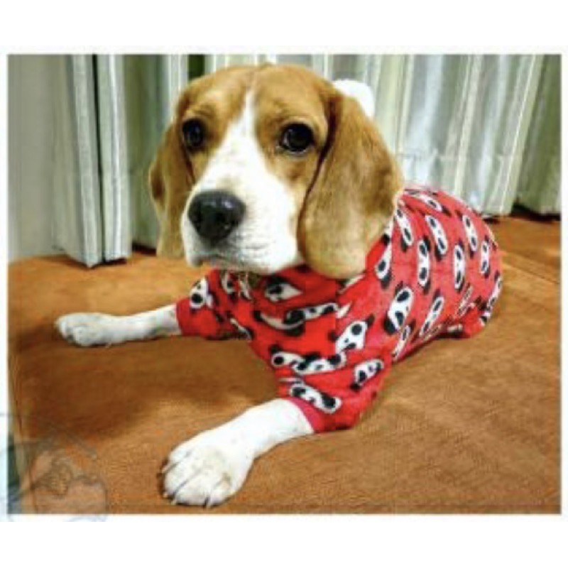 ภาพหน้าปกสินค้าชุดหมา ชุดแพนด้า ชุดหมา4ขา ชุดสุนัข ชุดแมว เสื้อผ้าหมา เสื้อหมา จากร้าน natthakit1313 บน Shopee