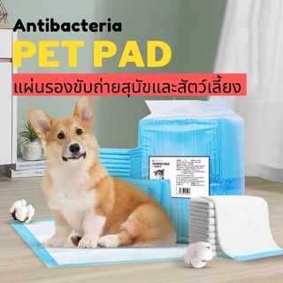 ใหม่ ขายดีแผ่นรองฉี่ แผ่นรองฉี่สุนัข แผ่นรองฉี่แมวPuppu Pads เนื้อเนียน ซึมซับไวมาก ไม่รั่วซึม แผ่นรองซับสัตว์เลี้ยง