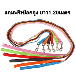 ภาพขนาดย่อของภาพหน้าปกสินค้าพร้อมส่งในไทย เสื้อจูงสุนัข เสื้อจูงแมว สายจูง สายรัดอก เสื้อจูงสัตว์เลี้ยง จากร้าน tm.online บน Shopee ภาพที่ 5