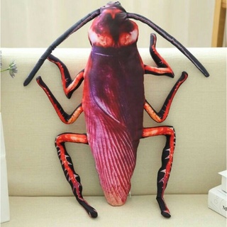 ภาพขนาดย่อของภาพหน้าปกสินค้าหมอนแมลงสาป 3 มิติ ขนาด 55-75 cm. จากร้าน pakwarin_not11 บน Shopee