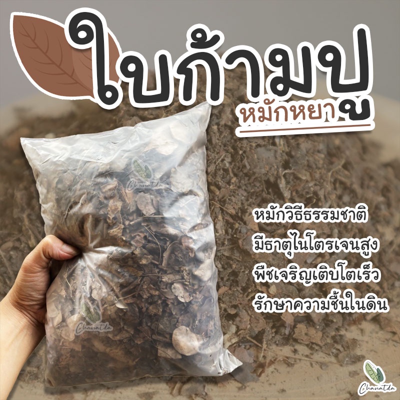 ใบก้ามปูหมักหยาบ-ใบก้ามปูล้วนหมักด้วยวิธีธรรมชาติ-บรรจุถุง-500-กรัม