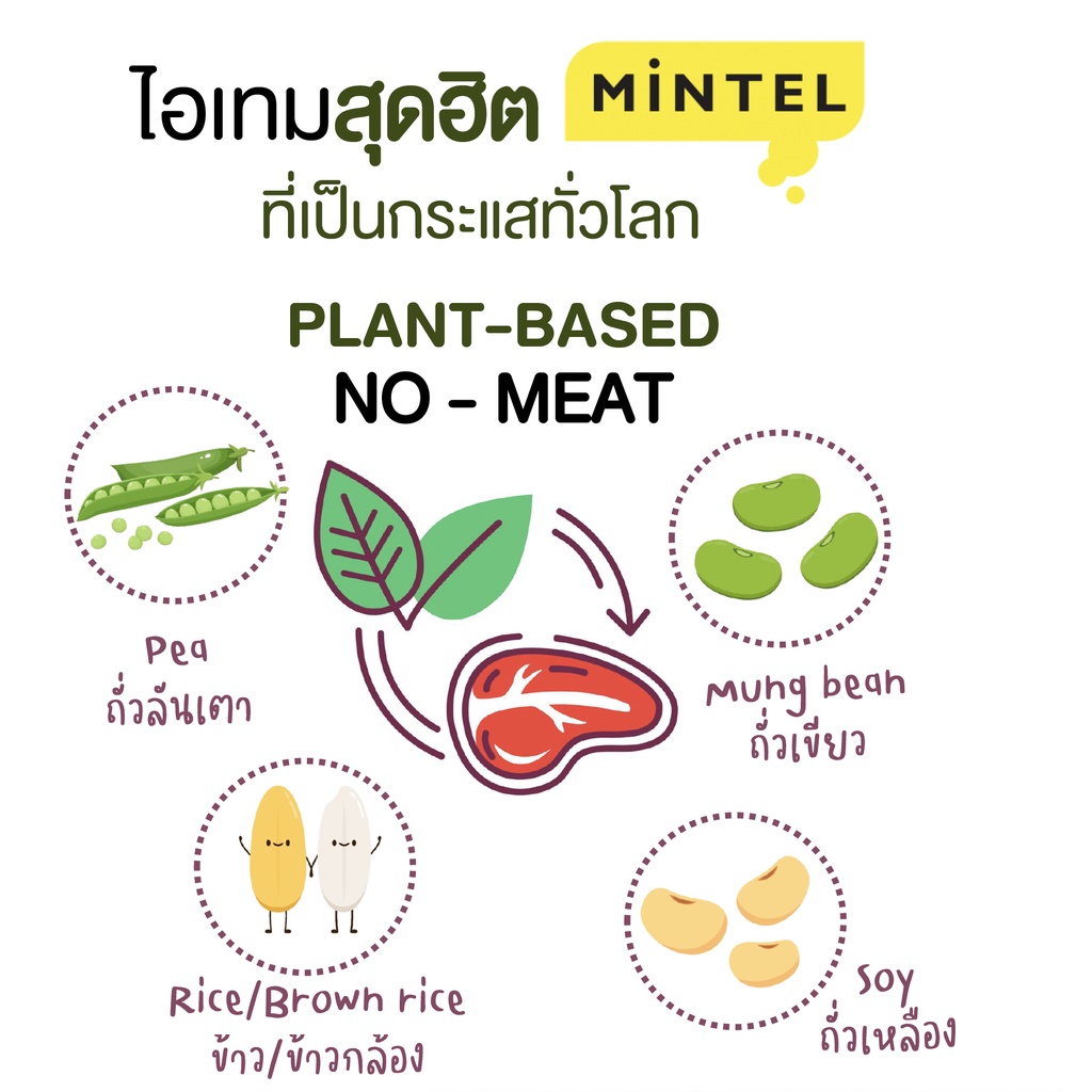 pea-protein-ผงโปรตีนถั่วลันเตา-โปรตีนคุณภาพสูง-ที่มีกรดอะมิโนครบถ้วนทั้ง-9-ชนิด-ไม่ทำให้อ้วน-ช่วยทำให้รู้สึกอิ่มนาน