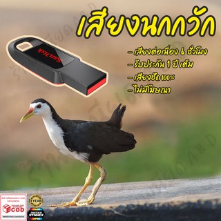 เสียงต่อ นกกวักตัวเมีย ยาว6ชั่วโมง ไม่มีโฆษณา แฟลชไดร์ฟ(Flash Drive) มีเก็บเงินปลายทาง