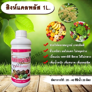 สิงห์แคลพลัส 1L.ธาตุอาหารรอง ธาตุอาหารเสริม ฮอร์โมนพืช แคลเซียมโบรอนเกสรติดดีขั้วเหนียวเพิ่มน้ำหนัก เพิ่มขนาดเพิ่มผลผลิต