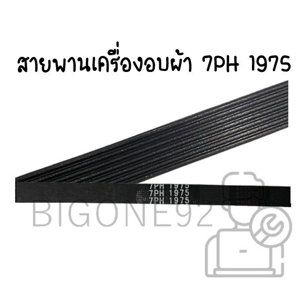 สายพานเครื่องอบผ้า-เบอร์-1975-7ร่อง-สำหรับเครื่องอบผ้า-electrolux