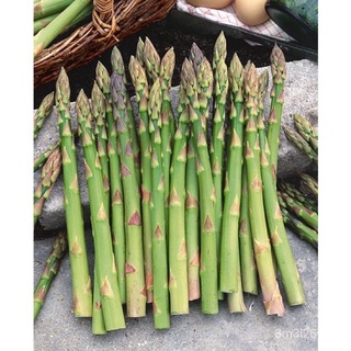 อินทรีย์ ต้น ดอก/เมล็ดพันธุ์ หน่อไม้ฝรั่ง เมรี่วอชิงตัน (Mary Washington Asparagus Seed) บรรจุ 20 เมล็ด F4SE