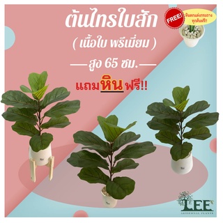 (เกรดใบพรีเมี่ยม) ต้นไทรใบสัก เสมือนจริง สูง 65 ซม. ต้นไม้ปลอมตกแต่งบ้าน (ก2)