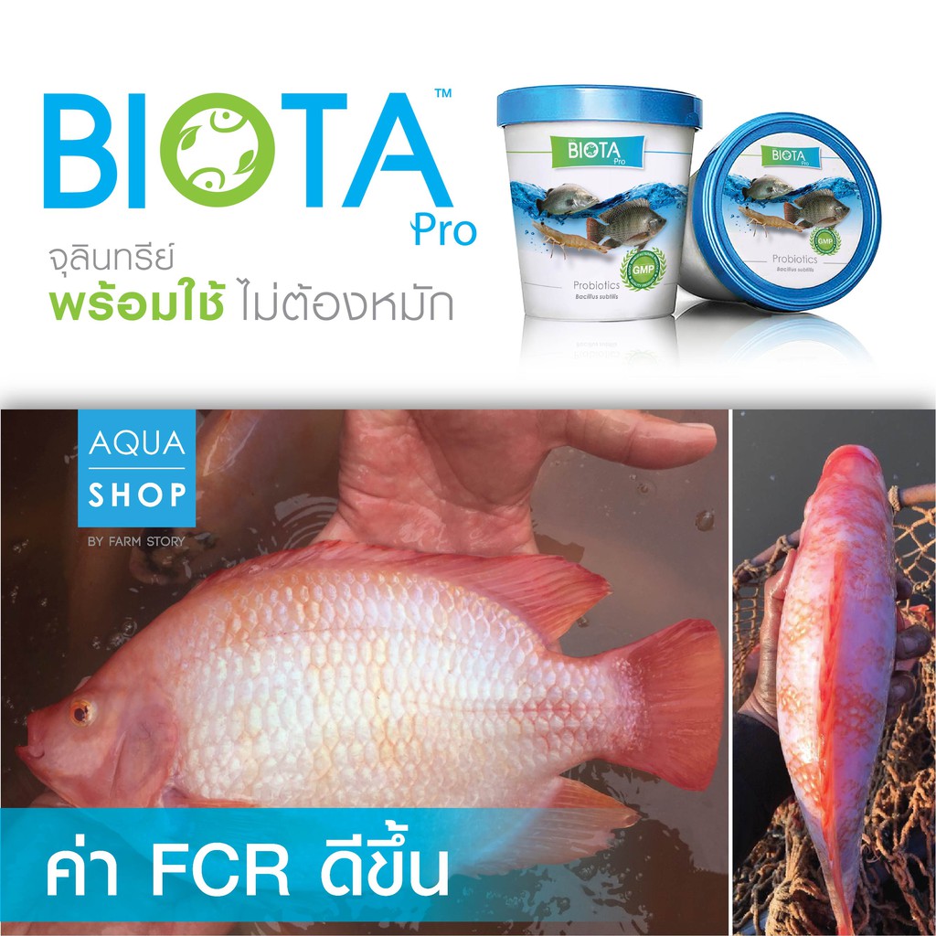 biota-pro-ผสมอาหาร-กุ้ง-ปลากินดี-แข็งแรง-โตไว-กำไรงาม