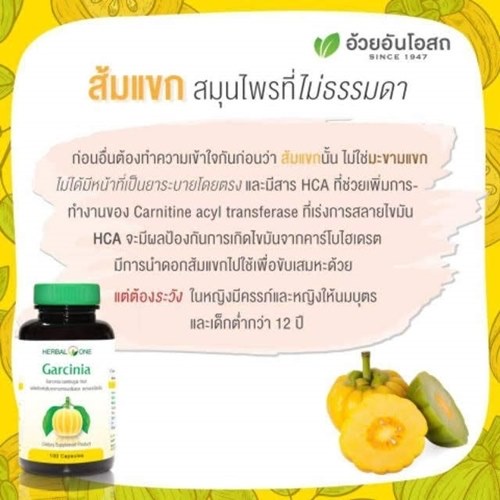 ภาพสินค้าHerbal One Garcinia ส้มแขก 100 แคปซูล อ้วยอัน จากร้าน healthmee บน Shopee ภาพที่ 1